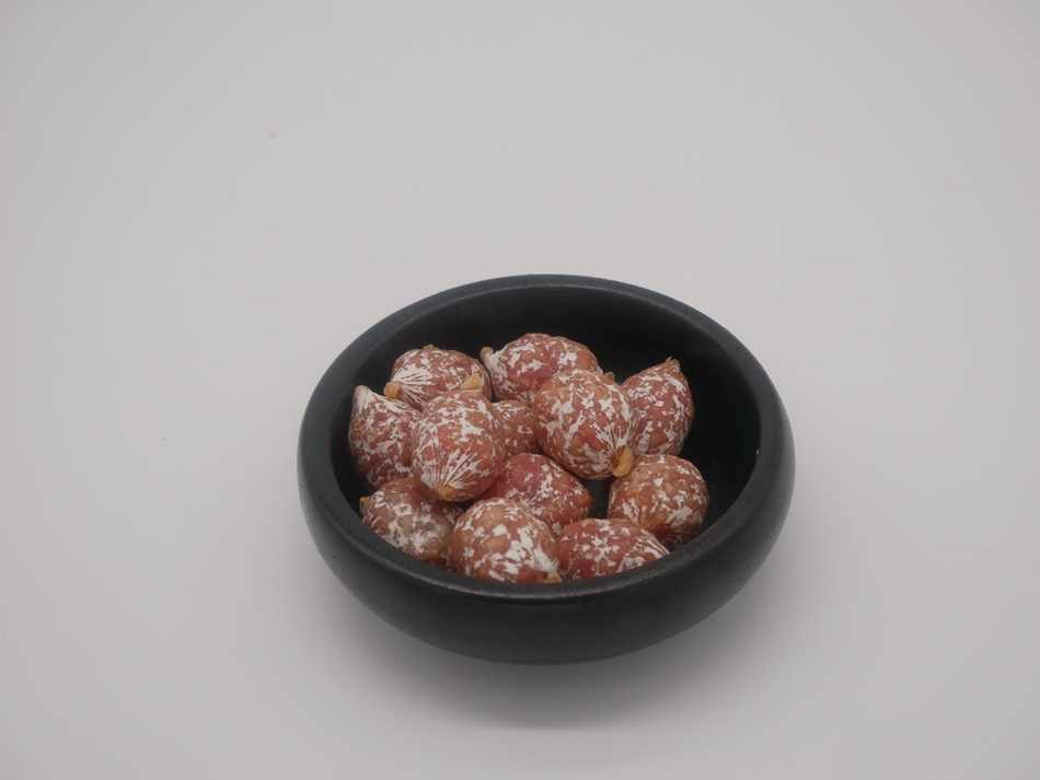 Mini kippensalami